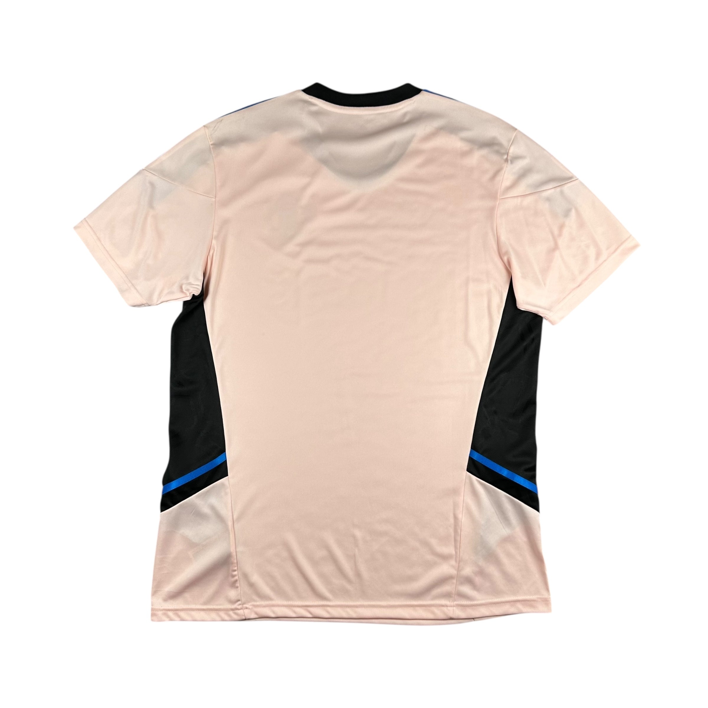 Manchester United 2022-23 Training Shirt (L) *BNWT
