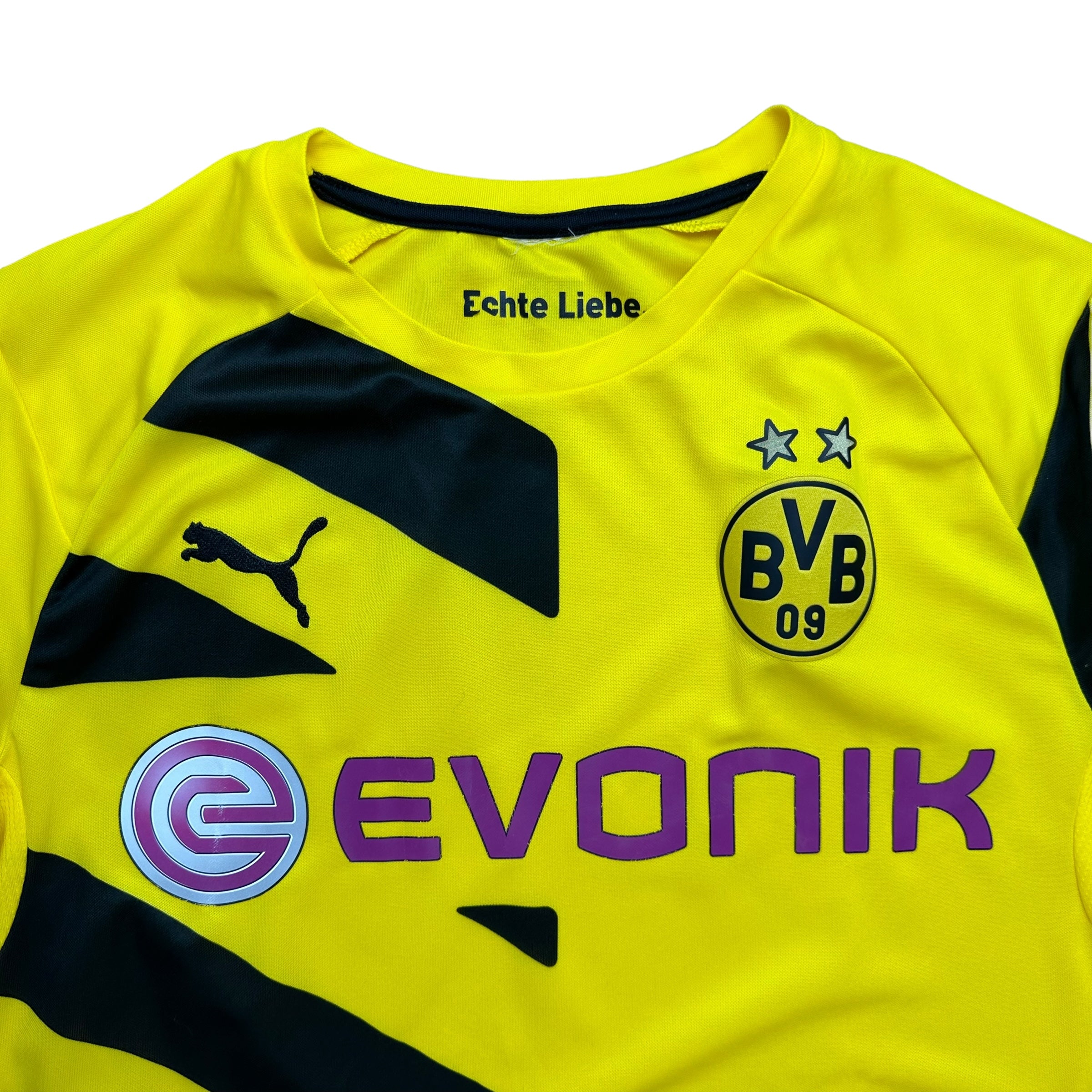 Borussia Dortmund 2014-15 Home Shirt (L)