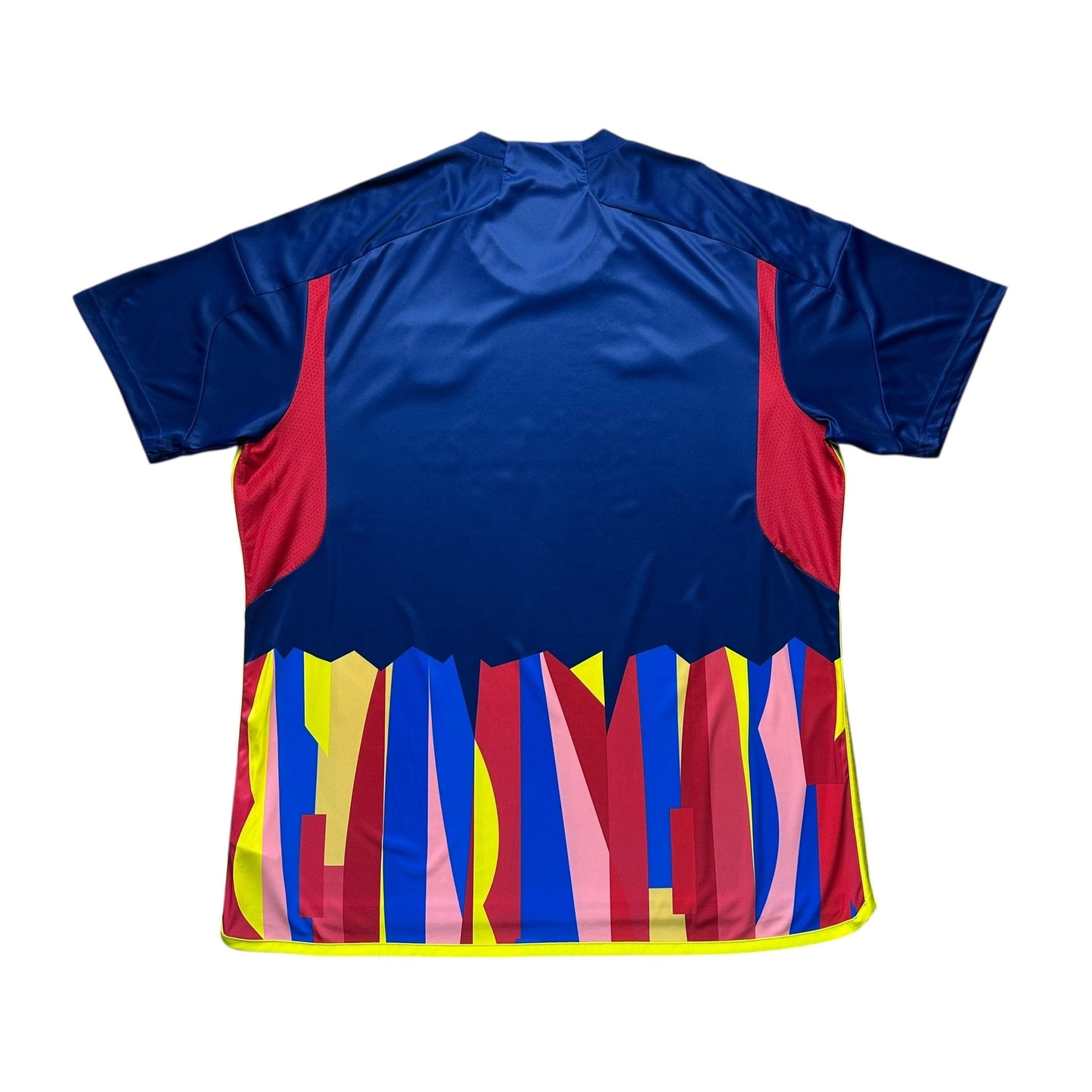 Lyon 2023 - 24 Third Shirt (XXL) - Kitplug