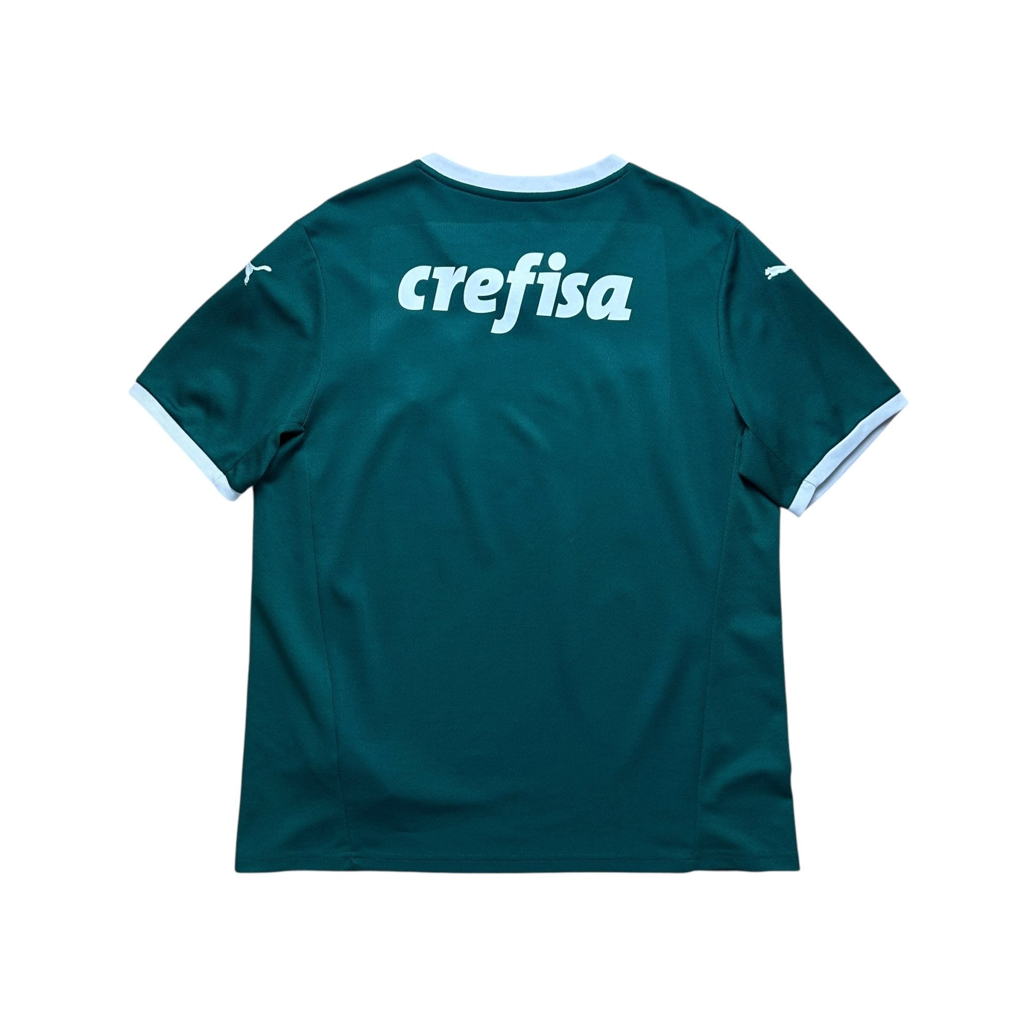 Palmeiras 2022 Home Shirt (M) - Kitplug
